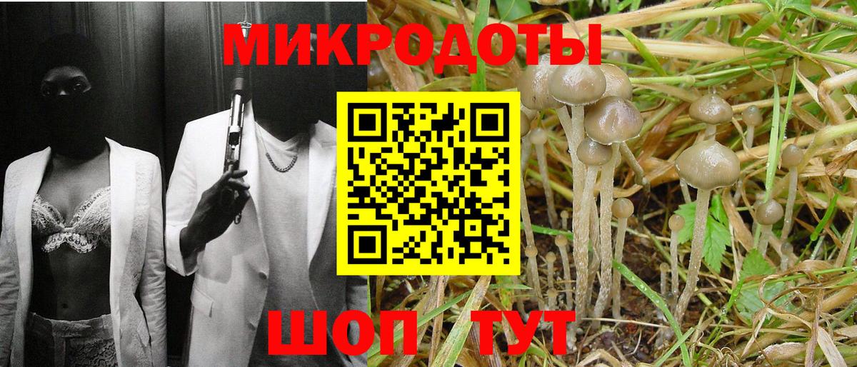 Галлюциногенные грибы GOLDEN TEACHER  Вход с VPN  Мичуринск 